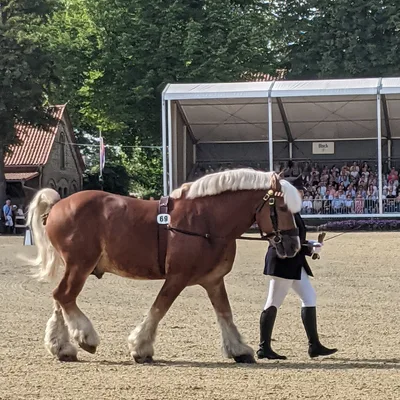 Seniorenfahrt nach Warendorf